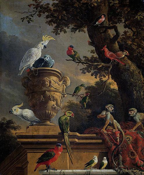 Melchior de Hondecoeter The Menagerie oil painting image